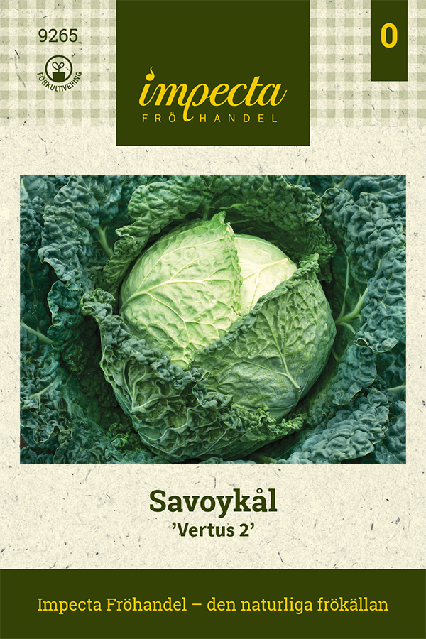 Savoykål 'Vertus 2'