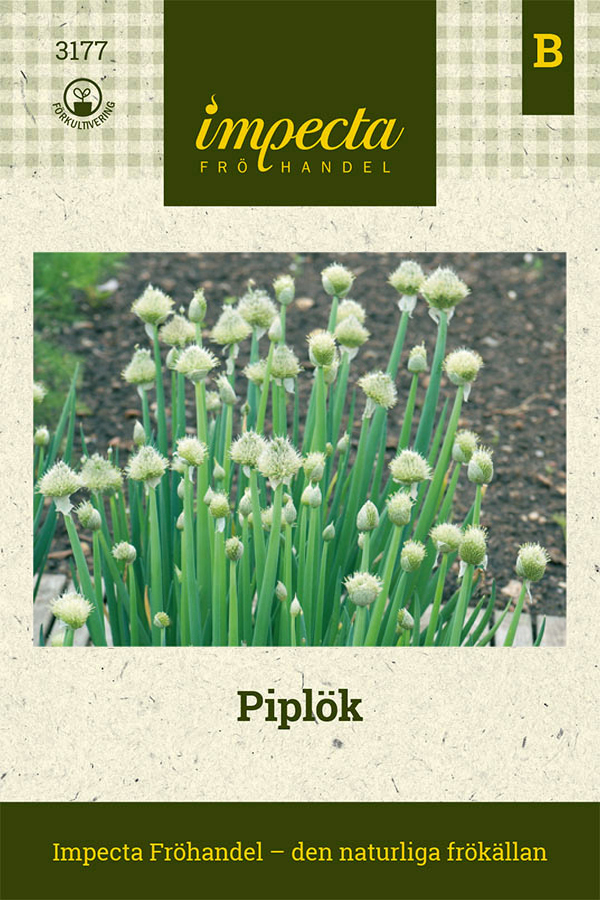Piplök 'Winter Nest'