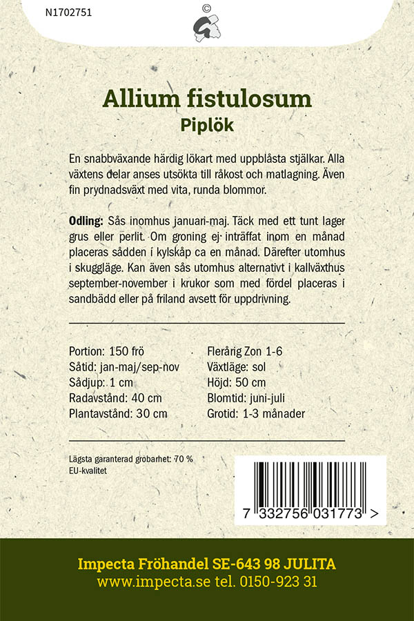 Piplök 'Winter Nest'