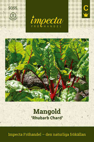 Lehtimangoldi 'Rhubarb Chard'