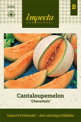 Cantaloupmelon 'Charentais'