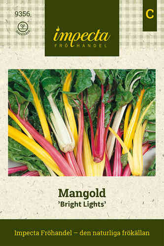 Mangold F1 'Bright Lights'