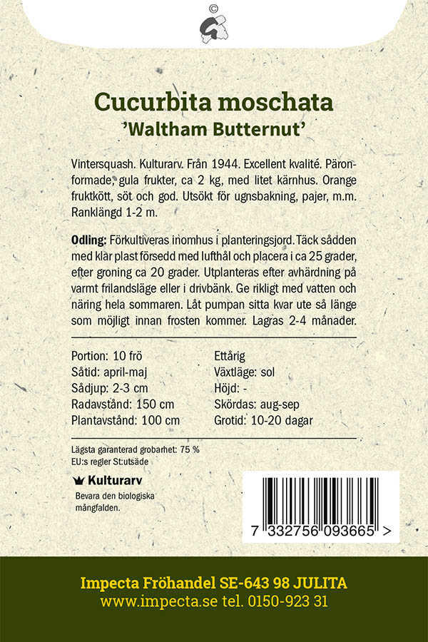 Myskikurpitsa 'Waltham Butternut'