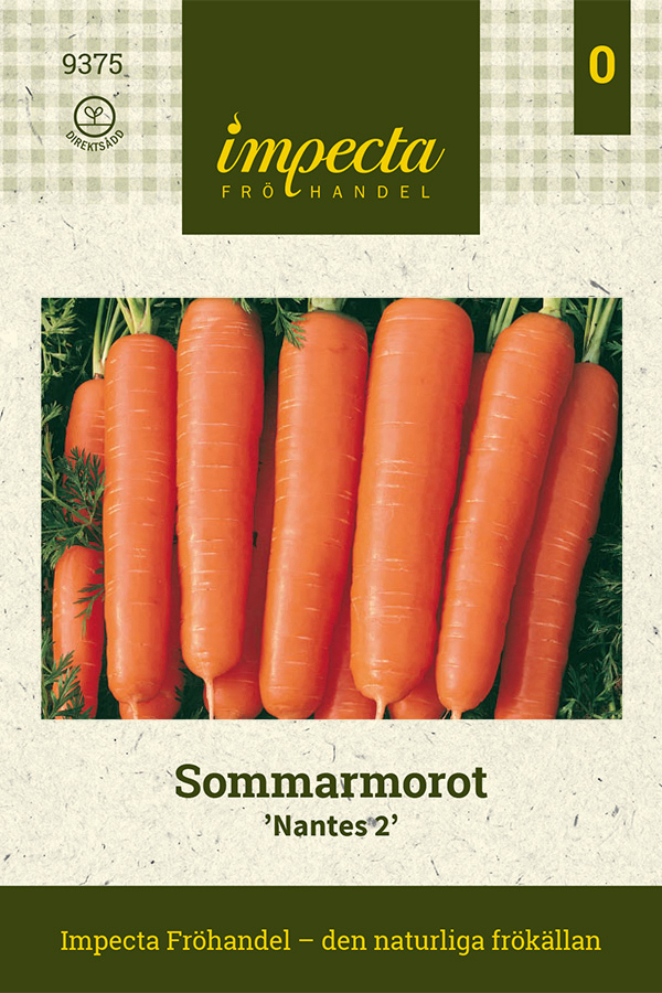 Daucus carota