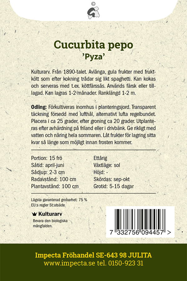 Spagettikurpitsa 'Pyza'