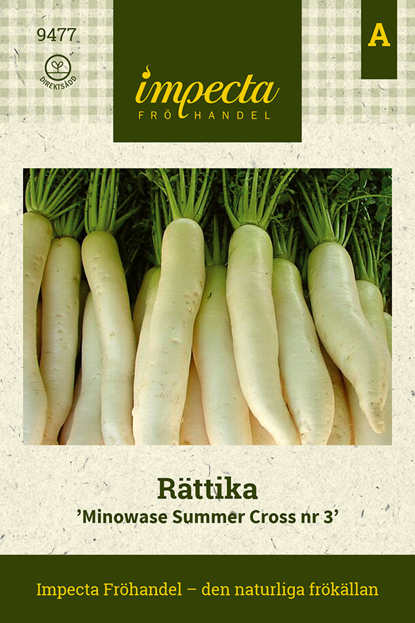 Daikonrättika 'Minowase Summer Cross 3'