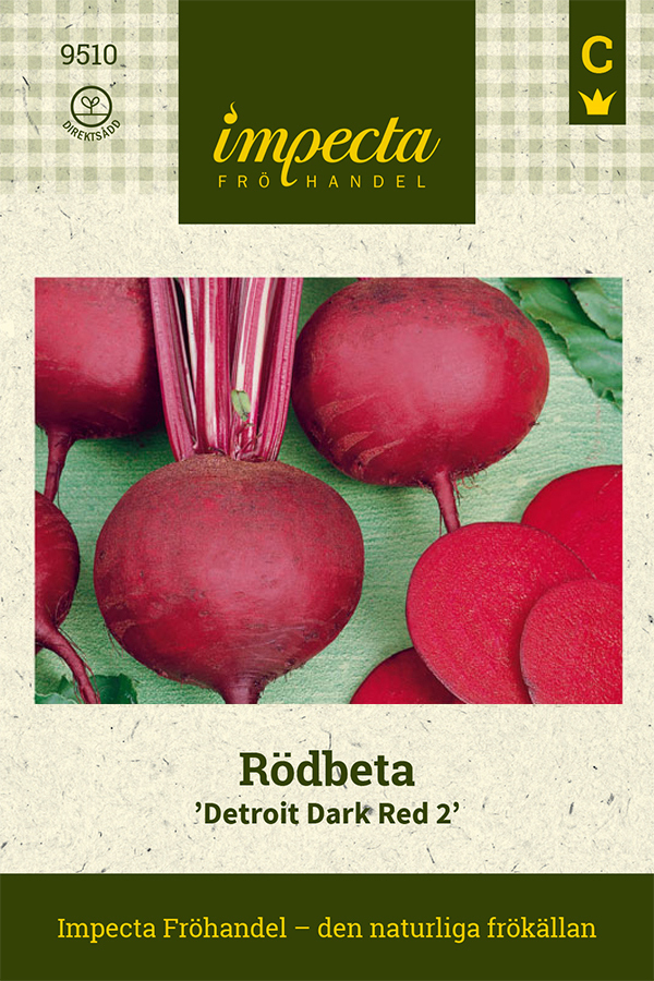 Rödbeta 'Detroit Dark Red 2'