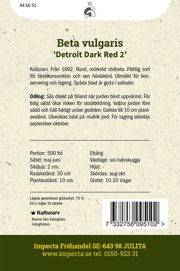 Rödbeta 'Detroit Dark Red 2'