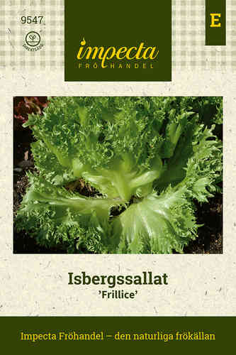 Isbergssallat 'Frillice'