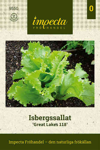 Jäävuorisalaatti 'Great Lakes 118'