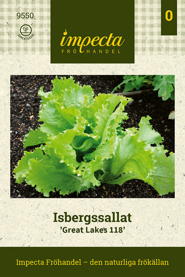 Jäävuorisalaatti 'Great Lakes 118'