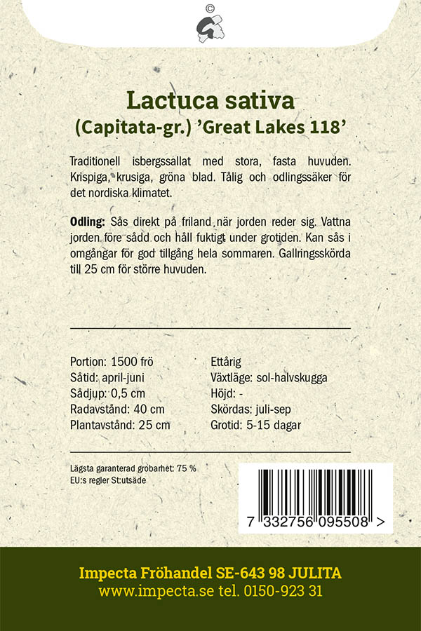 Jäävuorisalaatti 'Great Lakes 118'