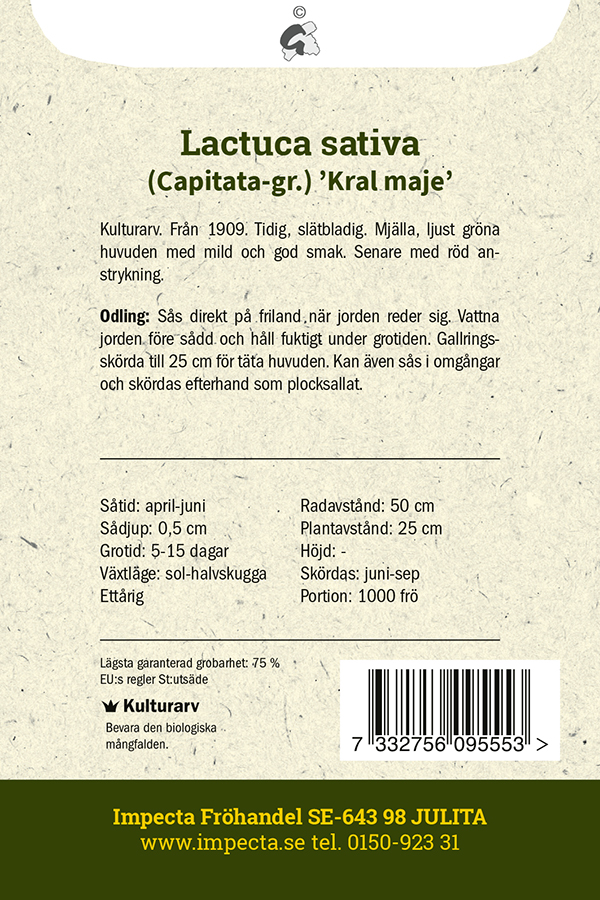 Keräsalaatti 'Král máje'