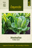Sidesalaatti 'Little Gem'