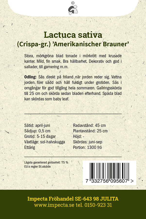 Plocksallat 'Amerikanischer Brauner'