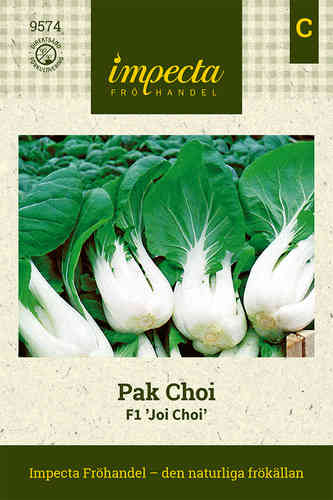 Pinaattikiinankaali F1 'Joi Choi'