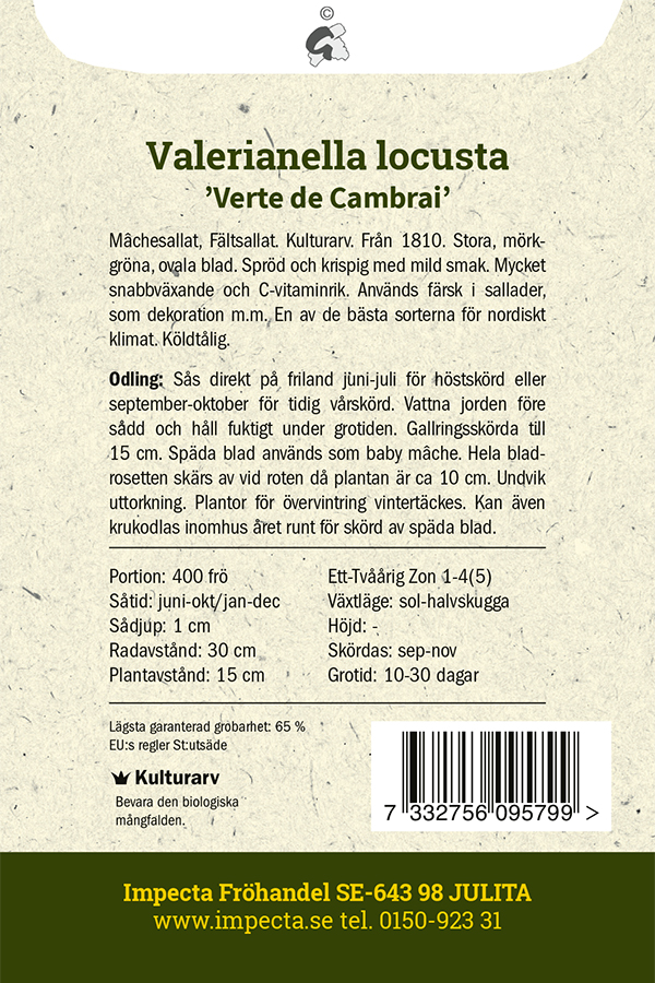 Vuonankaali 'Verte de Cambrai'