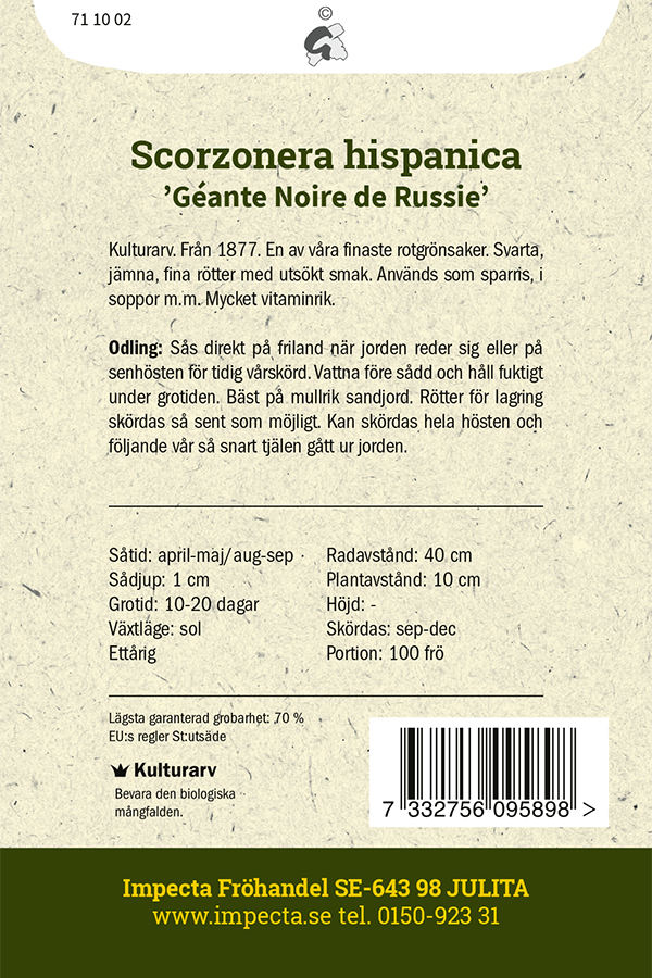 Mustajuuri 'Géante Noire de Russie'
