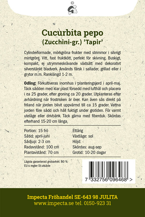 Sommarsquash 'Tapir'