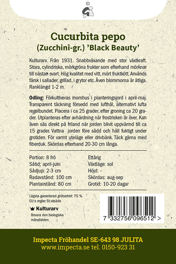 Squash 'Black Beauty'