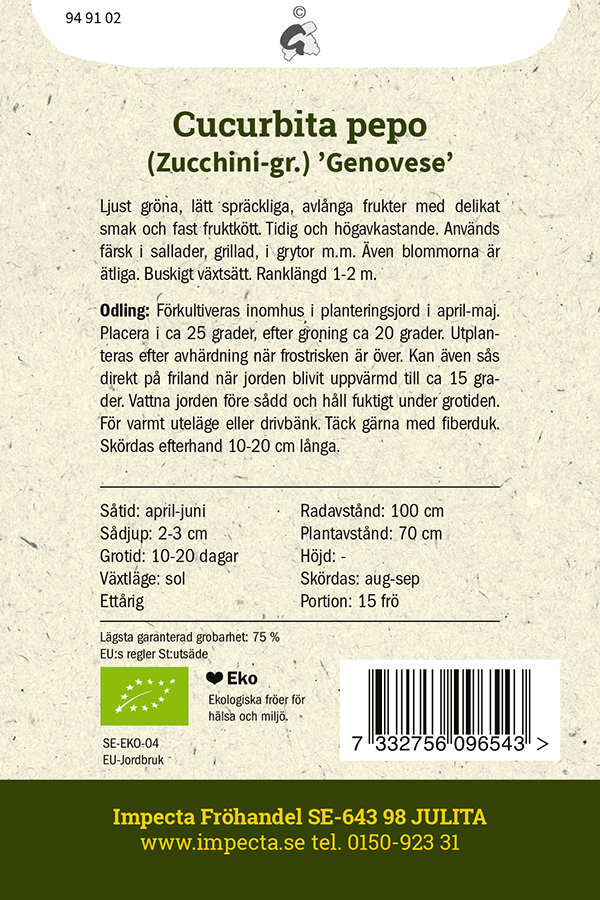 Sommarsquash 'Genovese'