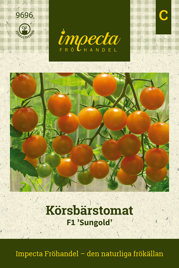 Tomat F1 'Sungold'