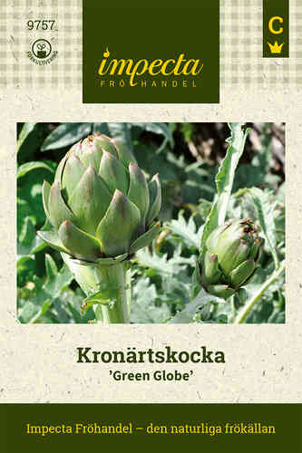 Kronärtskocka 'Green Globe' Scolymus-gr.