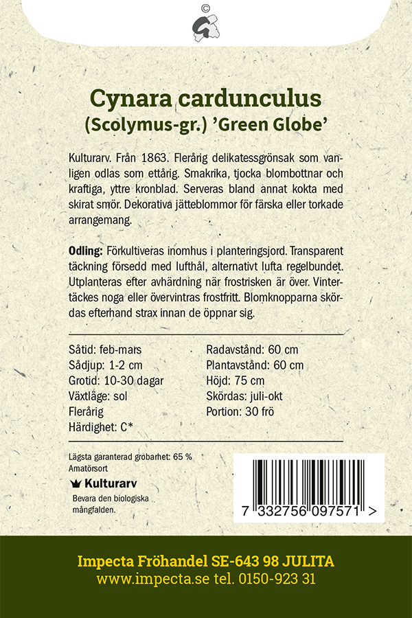 Kronärtskocka 'Green Globe' Scolymus-gr.