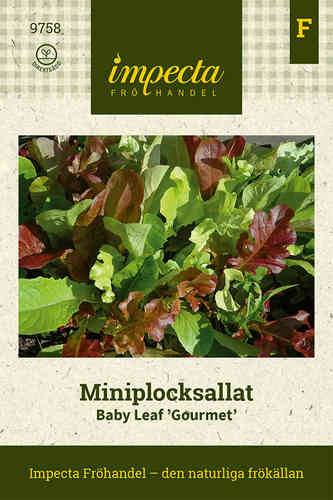 Minilehtisalaatti 'Baby Leaf Mix'