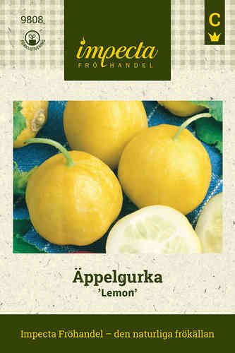 Äppelgurka 'Lemon'