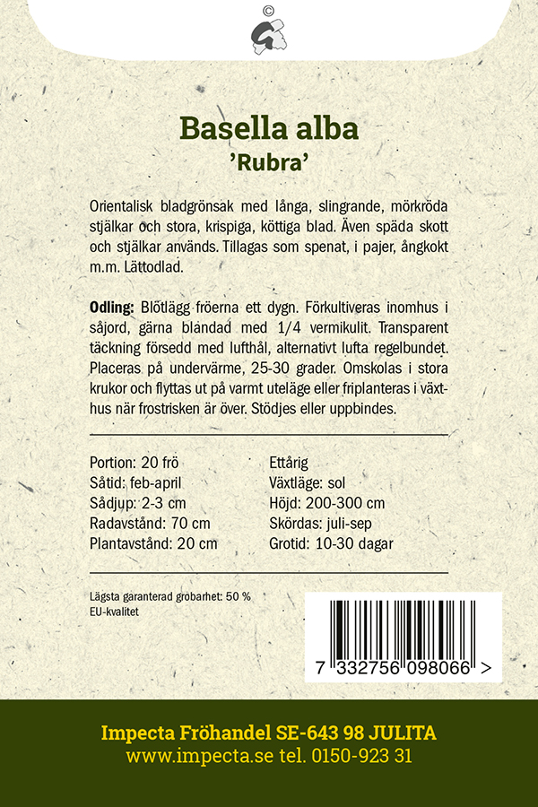 Malabarspenat 'Rubra'