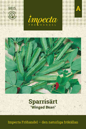 Sparrisärt 'Winged Bean'