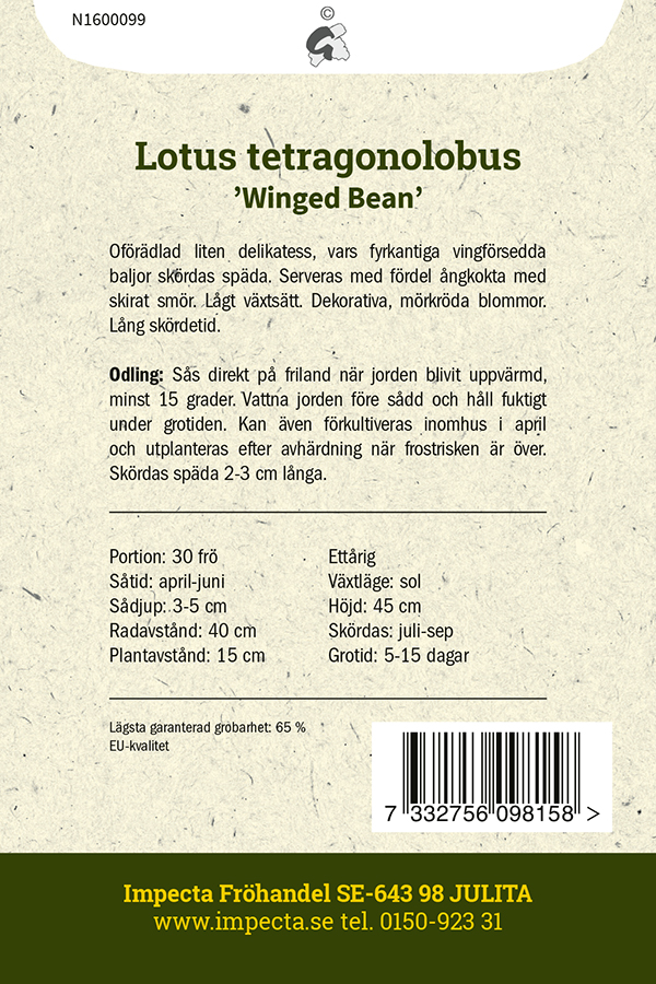 Punaparsamaite (punaparsaherne) 'Winged Bean'