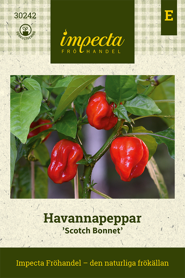 Havannapeppar 'Scotch Bonnet'
