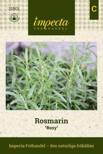 Rosmarinus officinalis