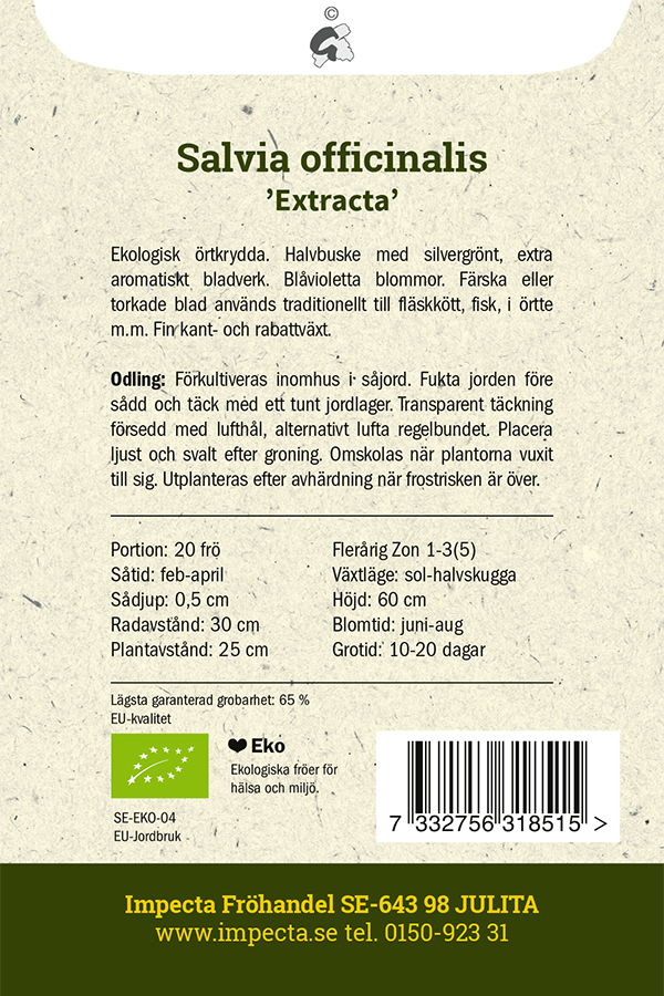 Kryddsalvia 'Extracta'