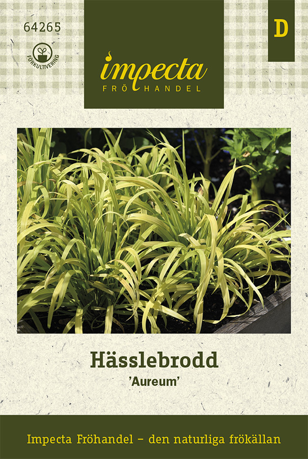 Kultatesma 'Aureum'