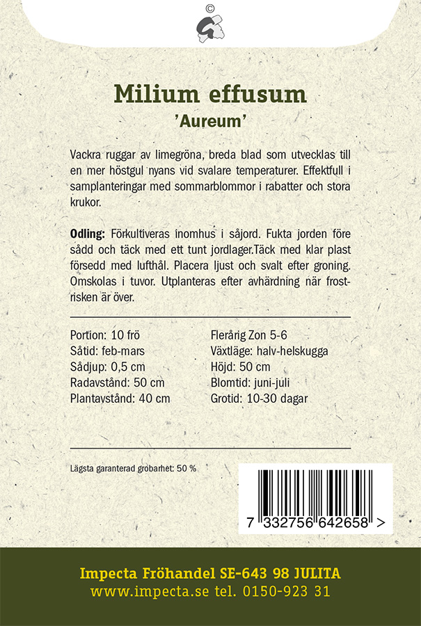 Kultatesma 'Aureum'