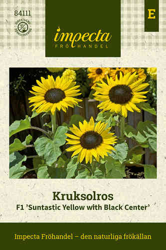 Kruksolros F1 'Suntastic Yellow with Black Center'