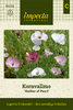 Silkkiunikko 'Mother of Pearl'