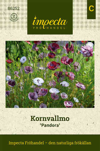 Kornvallmo 'Pandora'