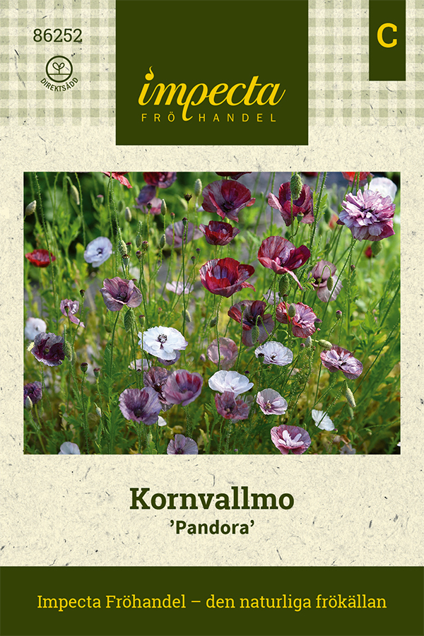 Kornvallmo 'Pandora'