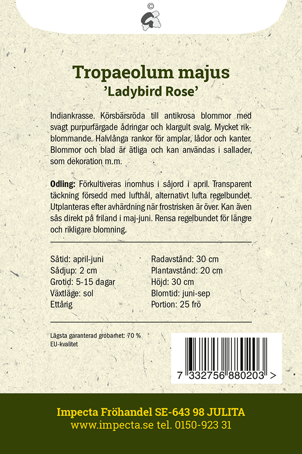 Buskkrasse 'Ladybird Rose'