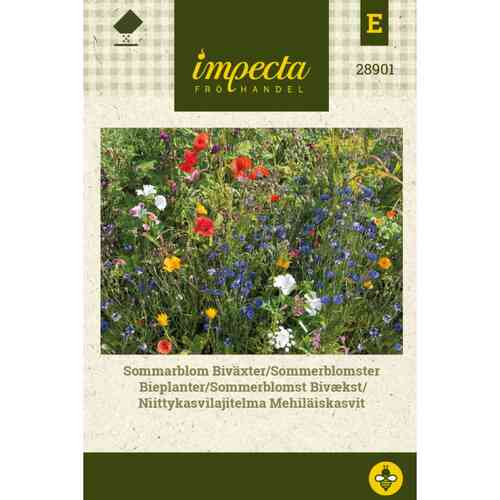 Niittykasvilajitelma, mehiläiskasvit Niittykasvilajitelma, mehiläiskasvit