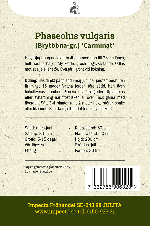 Störpurpurböna 'Carminat'