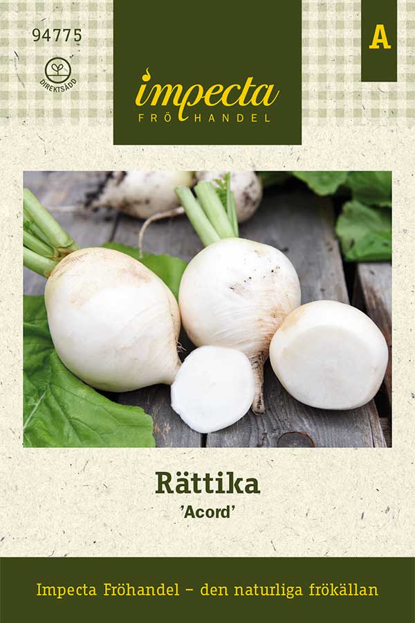 Rättika 'Acord' - MUSTILA TRÄDGÅRD