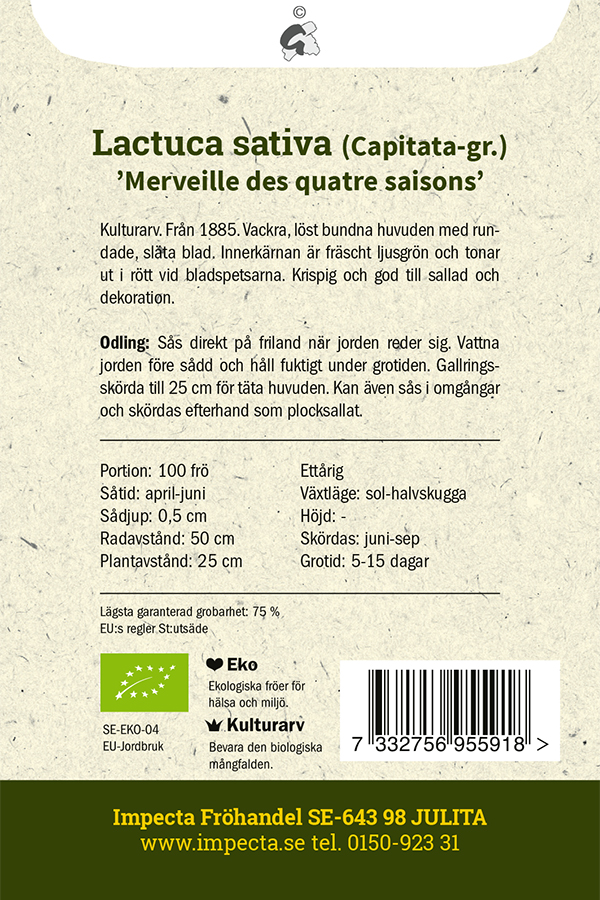 Huvudsallat 'Merveille des quatre saisons'