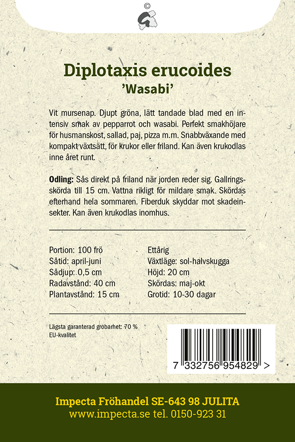 Valkohietasinappi 'Wasabi'