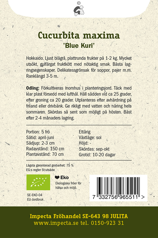 Hubbardpumpa 'Blue Kuri'