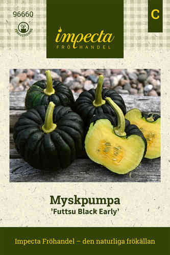 Myskpumpa 'Futtsu Black Early'